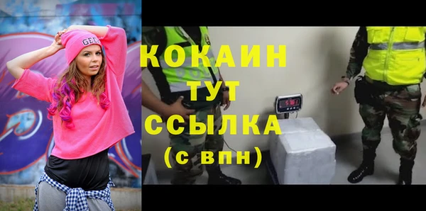 ALPHA PVP Инсар