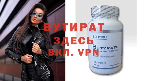 сатива Каменка