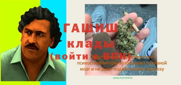 дмт Инта