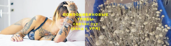 ALPHA PVP Инсар