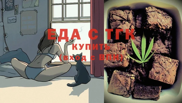 сатива Каменка