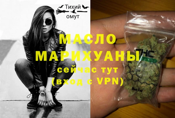 дмт Инта