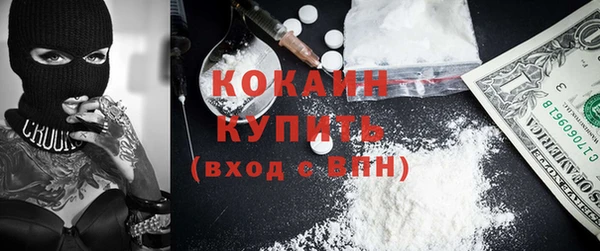 ALPHA PVP Инсар