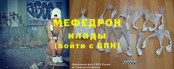 сатива Каменка