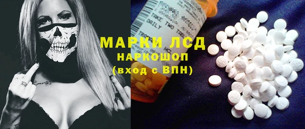 дмт Инта